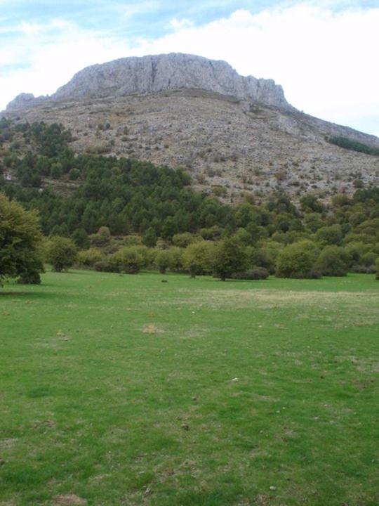 Penzion Casa Rural Casa Gonzalo Bélmez de la Moraleda Exteriér fotografie